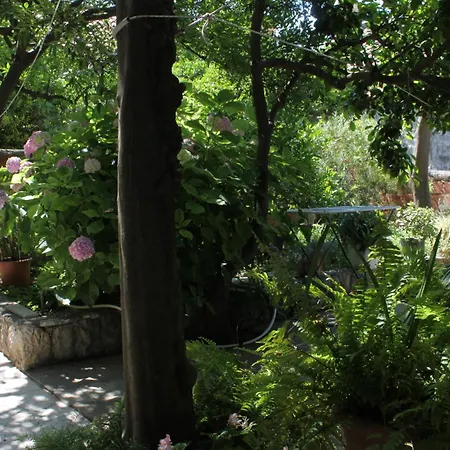 By The Sea Cavtat, Dubrovnik - 9067 Cavtat