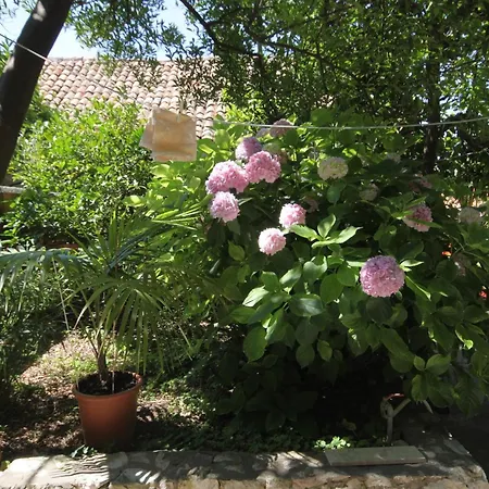 Lägenhet By The Sea Cavtat, Dubrovnik - 9067 *